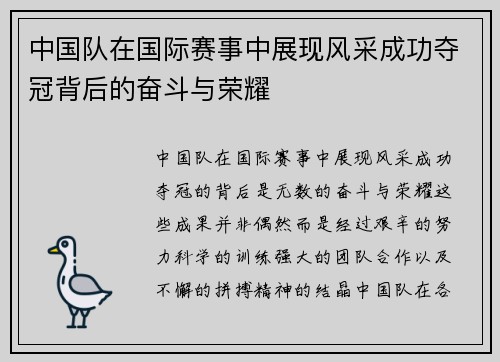 中国队在国际赛事中展现风采成功夺冠背后的奋斗与荣耀
